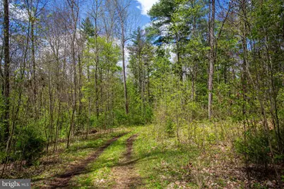 0 Church Mountain Lane, Fulks Run, VA 22830 - Photo 2