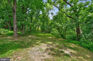 1214 W Peake Ln, Harrisonburg, VA 22802 - Photo 68