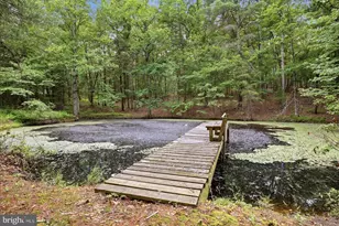 14636 Turner Rd, Fulks Run, VA 22830 - Photo 68
