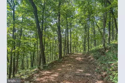 Church Mountain Lane, Broadway, VA 22815 - Photo 6