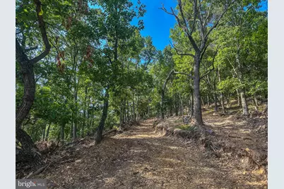 Church Mountain Lane, Broadway, VA 22815 - Photo 30