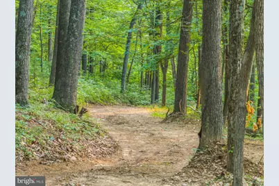 Church Mountain Lane, Broadway, VA 22815 - Photo 4