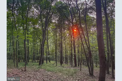Church Mountain Lane, Broadway, VA 22815 - Photo 28