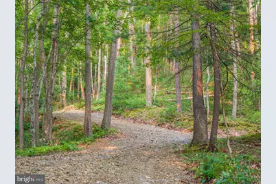 Church Mountain Lane, Broadway, VA 22815 - Photo 40