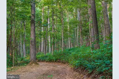 Church Mountain Lane, Broadway, VA 22815 - Photo 48