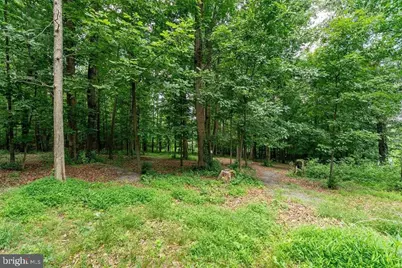 8905 Shade Tree Lane, Broadway, VA 22815 - Photo 74