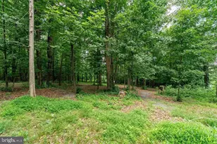8905 Shade Tree Ln, Broadway, VA 22815 - Photo 74