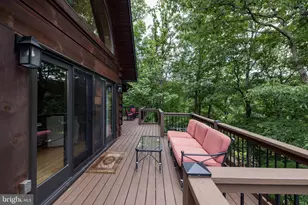3940 Palmer Rd, Mc Gaheysville, VA 22840 - Photo 68