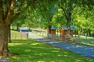 14238 Plains Mill Rd, Timberville, VA 22853 - Photo 48