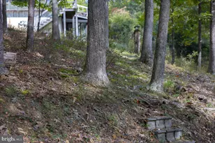 [Address not provided], Fulks Run, VA 22830 - Photo 86