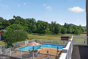 8217 S South East Side Hwy, Elkton, VA 22827 - Photo 82