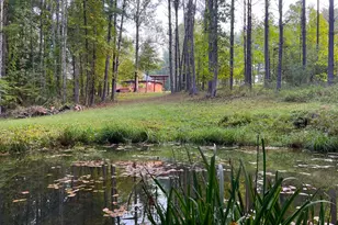 243 Aaron Mountain Rd, Castleton, VA 22716 - Photo 6