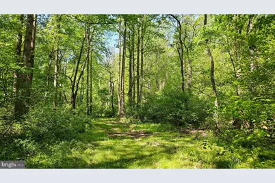 559 Bessie Bell Mountain Road, Castleton, VA 22716 - Photo 70