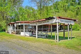 11947 Lee Hwy, Sperryville, VA 22740 - Photo 10