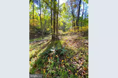 0 Castleton View Road, Castleton, VA 22716 - Photo 14