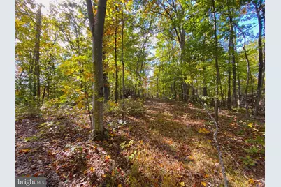0 Castleton View Road, Castleton, VA 22716 - Photo 18