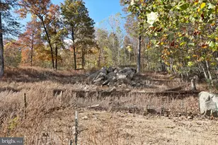 96 Castle Mountain Rd, Castleton, VA 22716 - Photo 16