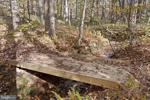 96 Castle Mountain Rd, Castleton, VA 22716 - Photo 22