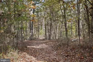 96 Castle Mountain Rd, Castleton, VA 22716 - Photo 18