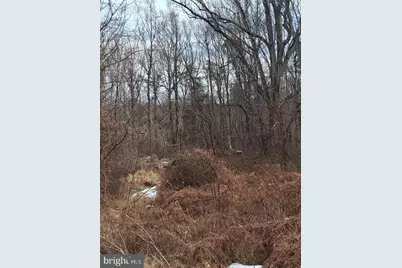 268 Rollins Ford Road, Amissville, VA 20106 - Photo 6