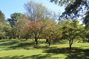 419 Rudasill Mill Rd, Woodville, VA 22749 - Photo 8
