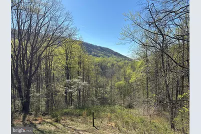 815 Gid Brown Hollow Road, Washington, VA 22747 - Photo 2