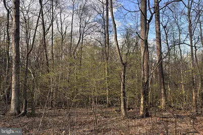 Padua, Sperryville, VA 22740 - Photo 4