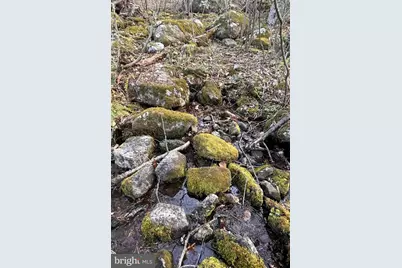 Padua, Sperryville, VA 22740 - Photo 6