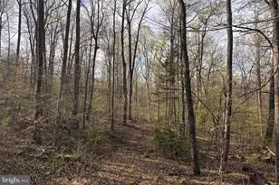 Padua, Sperryville, VA 22740 - Photo 1