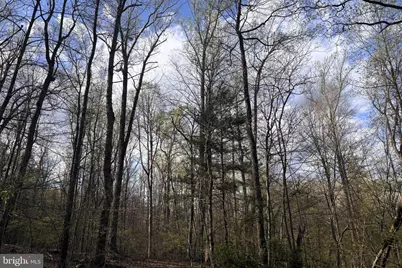 Padua, Sperryville, VA 22740 - Photo 2