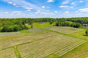 80 & 43 Narmada Ln, Amissville, VA 20106 - Photo 86