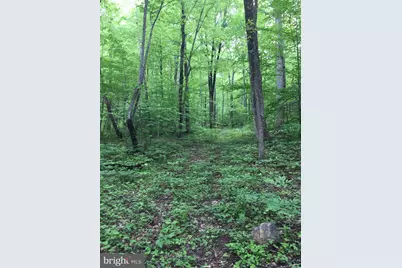 0 Padua Lane, Sperryville, VA 22740 - Photo 2