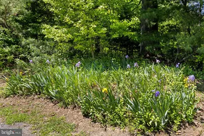 105 Swindler Hollow Road, Sperryville, VA 22740 - Photo 26