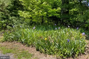 105 Swindler Hollow Rd, Sperryville, VA 22740 - Photo 26