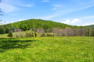 15 Chilton Ln, Sperryville, VA 22740 - Photo 34