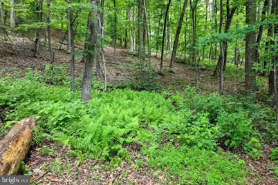 Tbd Comptons Rd, Castleton, VA 22716 - Photo 16