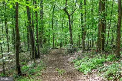 Tbd Comptons Rd, Castleton, VA 22716 - Photo 14