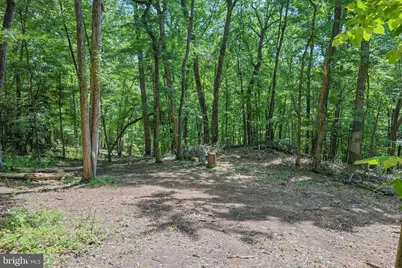 Tbd Comptons Rd, Castleton, VA 22716 - Photo 10