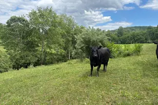14105 Lee Hwy, Amissville, VA 20106 - Photo 2