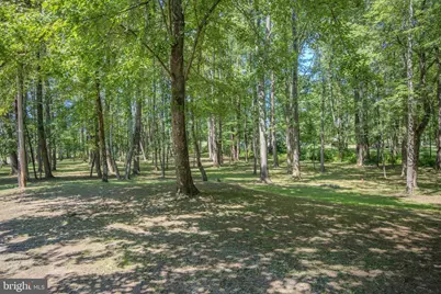 14555 Lee Highway, Amissville, VA 20106 - Photo 46