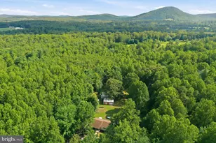 78 Lizzie Mills Rd, Castleton, VA 22716 - Photo 44