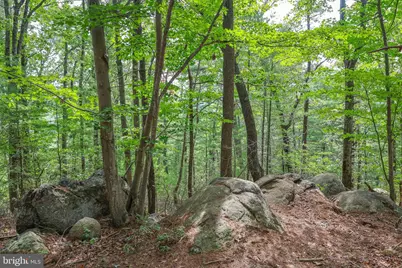 30 Annies Lane, Sperryville, VA 22740 - Photo 62