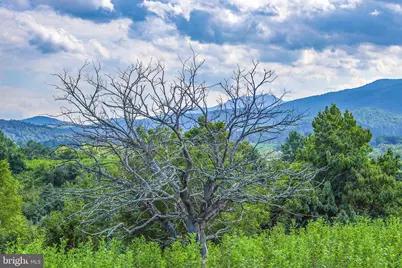 Tbd 0 Lee Hwy 66.8Ac Taxid38-91, Sperryville, VA 22740 - Photo 30