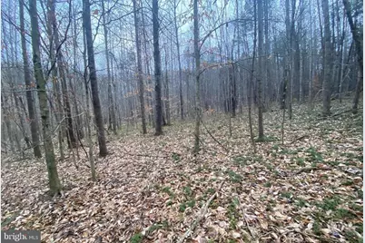 0 Turkey Ridge Road, Castleton, VA 22716 - Photo 8