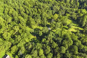 229 Grand Vw Rd, Washington, VA 22747 - Photo 82