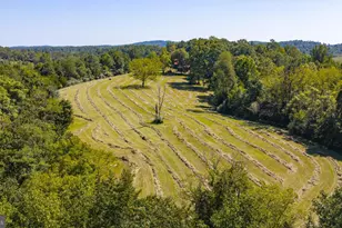 15 La Lune Ln, Sperryville, VA 22740 - Photo 70