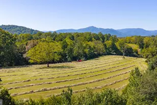 15 La Lune Ln, Sperryville, VA 22740 - Photo 64
