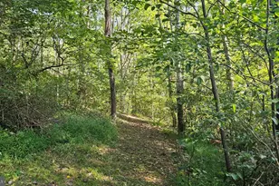 100 Linden Ln, Flint Hill, VA 22627 - Photo 54