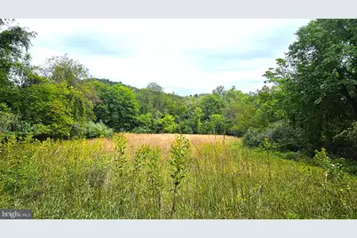 558 Gay Street, Washington, VA 22747 - Photo 54