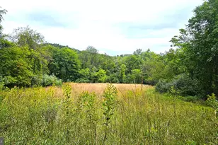 558 Gay St, Washington, VA 22747 - Photo 54